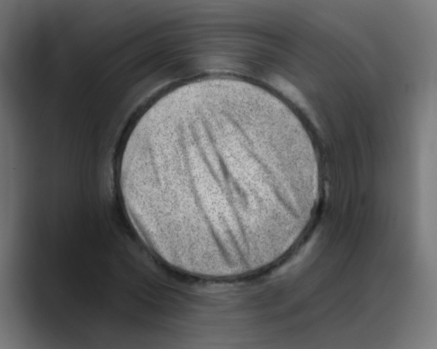 X0000088450782200706191310