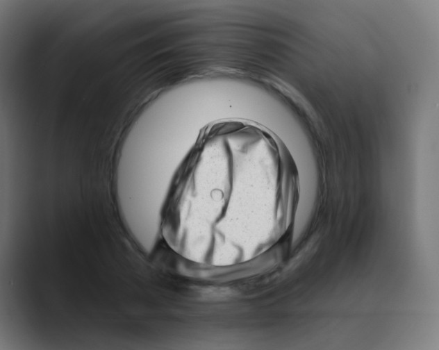 X0000088450785200706191310
