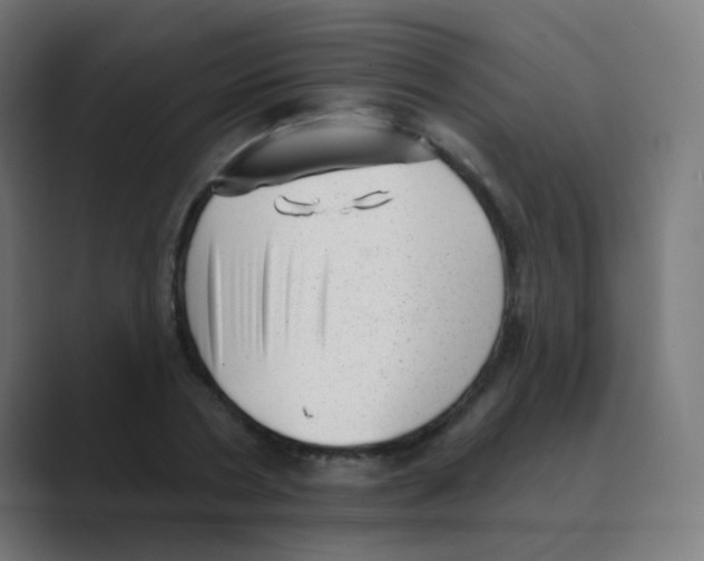 X0000088450786200706191310