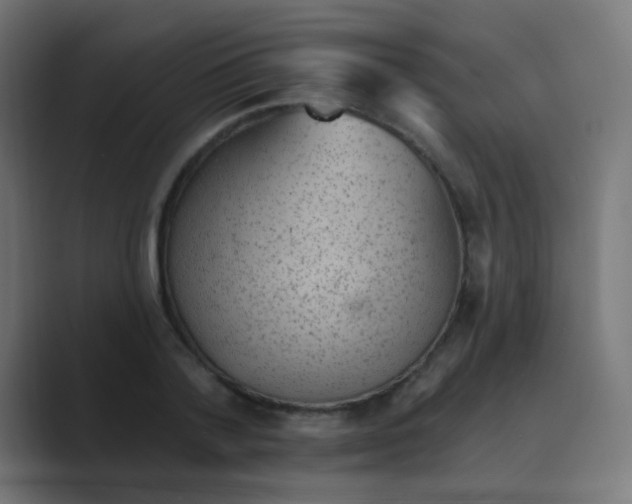 X0000088450788200706191310