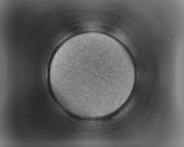 X0000088450790200706191310