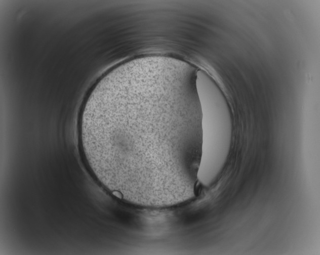 X0000088450795200706191310