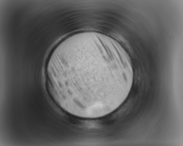 X0000088450796200706191310