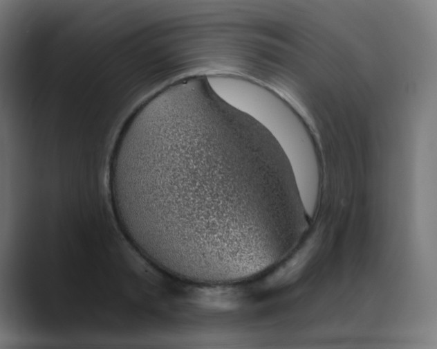 X0000088450797200706191310
