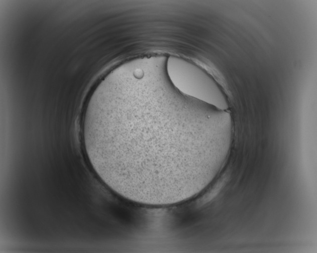 X0000088450798200706191310