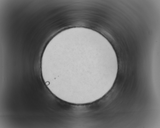 X0000088450800200706191310