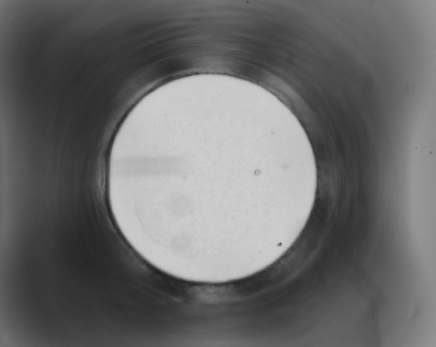 X0000088450804200706191310