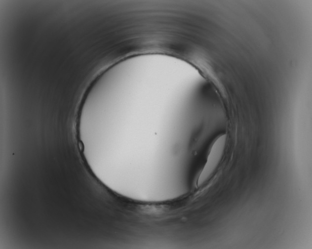 X0000088450805200706191310