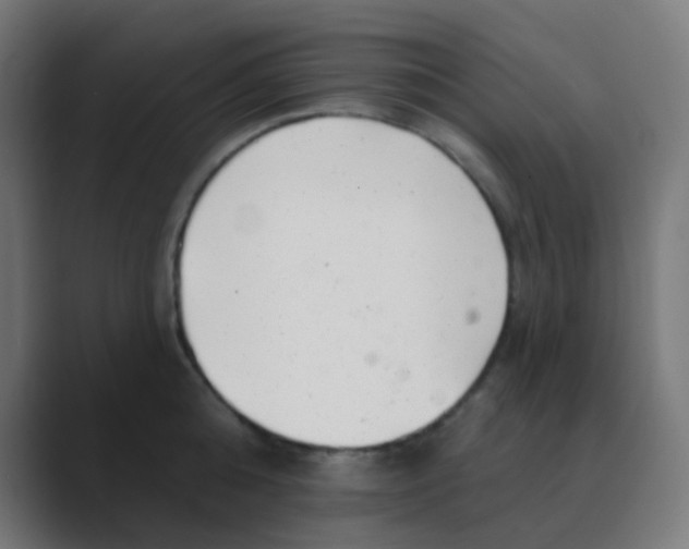 X0000088450808200706191310
