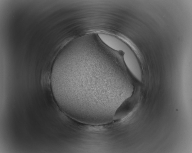 X0000088450809200706191310