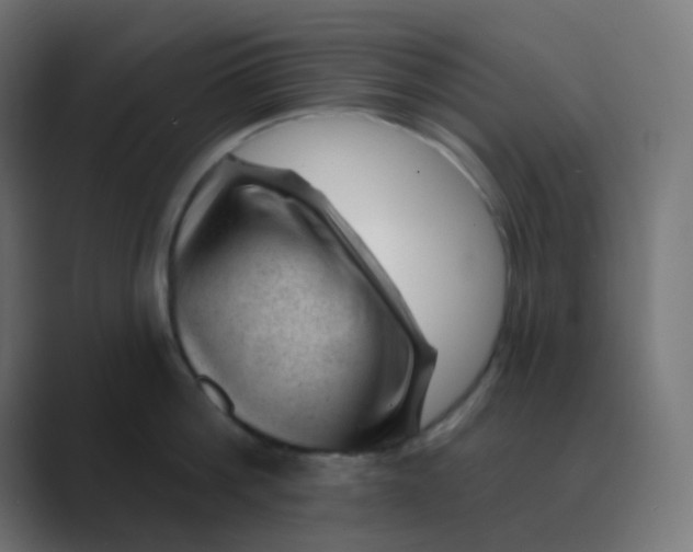 X0000088450812200706191310
