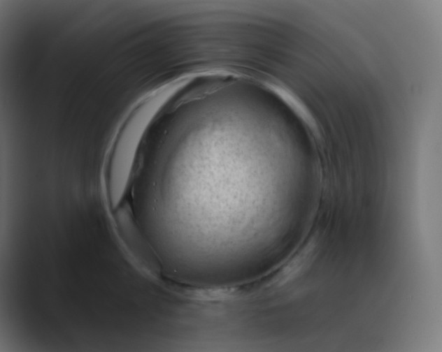 X0000088450813200706191310