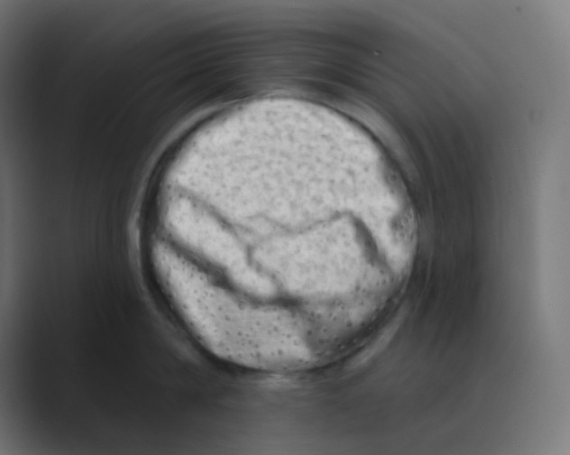 X0000088450814200706191310