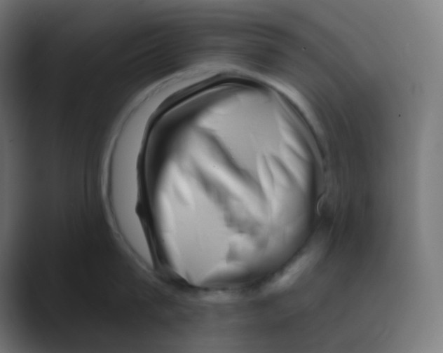 X0000088450815200706191310