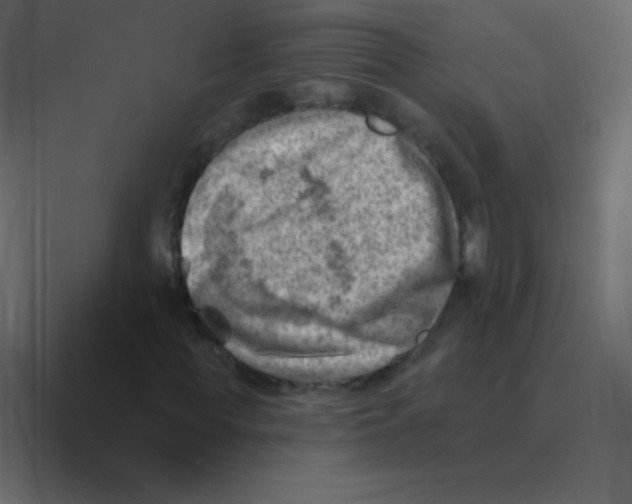 X0000088450819200706191309