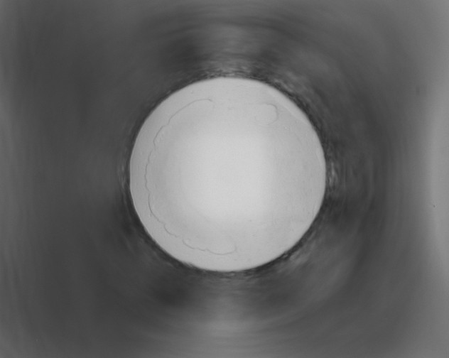 X0000088450820200706191309