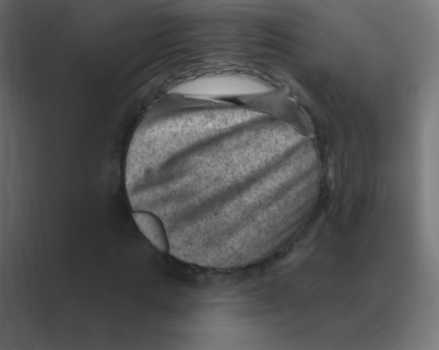 X0000088450821200706191309
