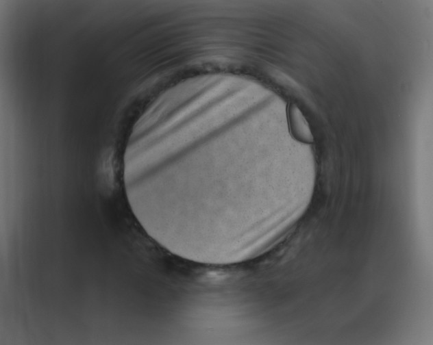 X0000088450822200706191309