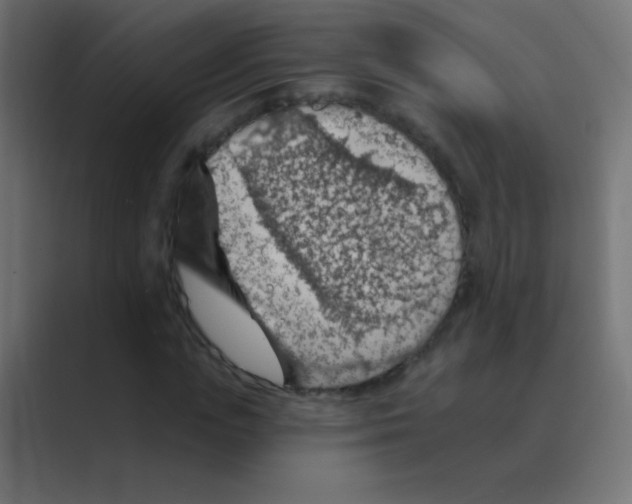 X0000088450823200706191309