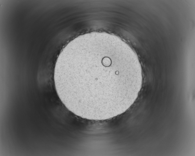 X0000088450824200706191309