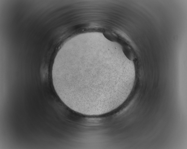 X0000088450825200706191309