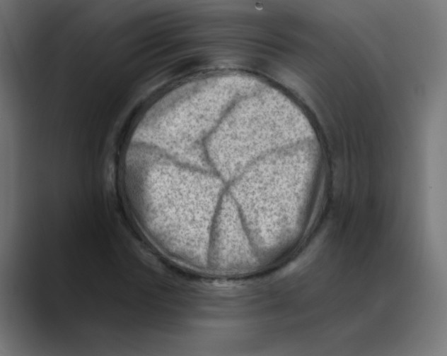 X0000088450827200706191309