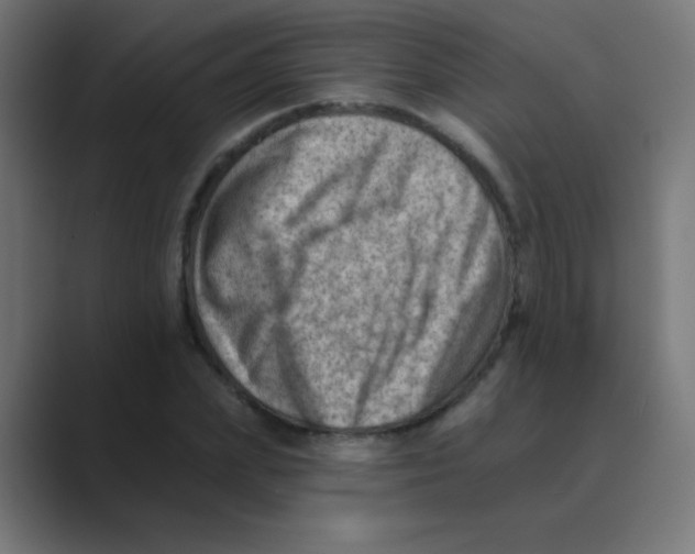 X0000088450831200706191309