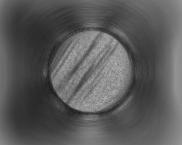 X0000088450833200706191309