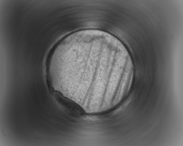 X0000088450835200706191310