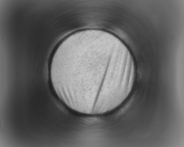 X0000088450838200706191310