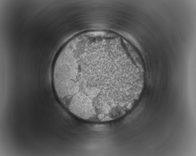 X0000088450839200706191310
