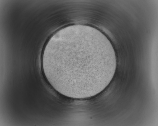 X0000088450840200706191310