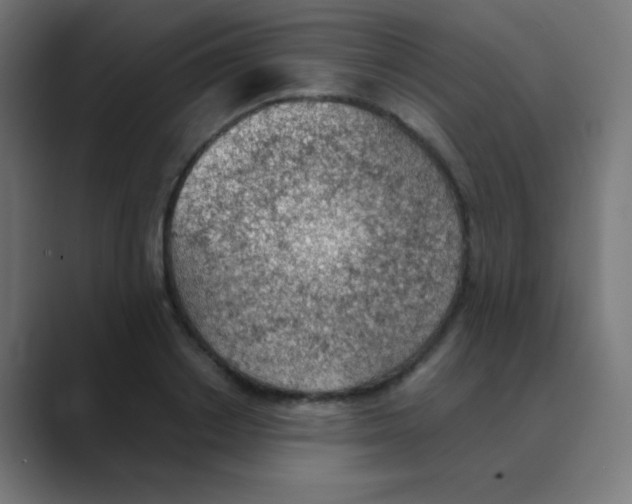 X0000088450842200706191310