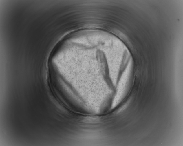 X0000088450844200706191310