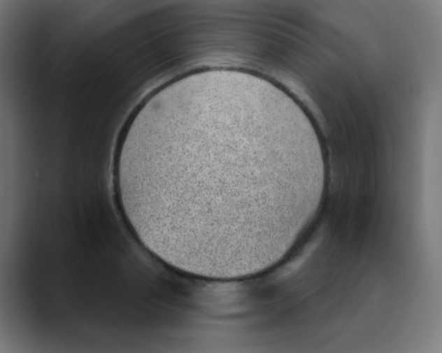 X0000088450845200706191310