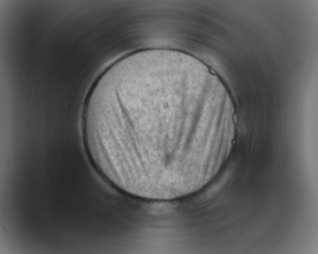 X0000088450847200706191310