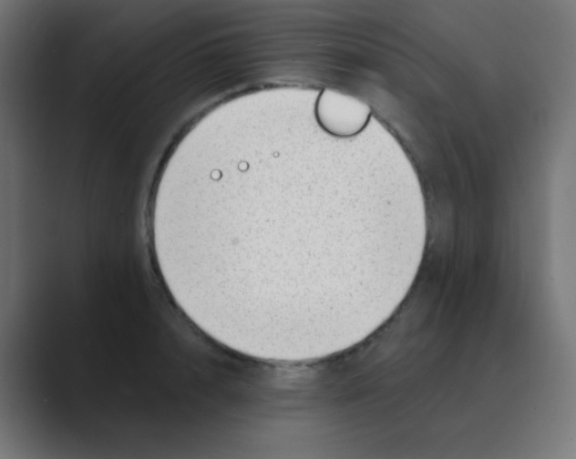 X0000088450848200706191310