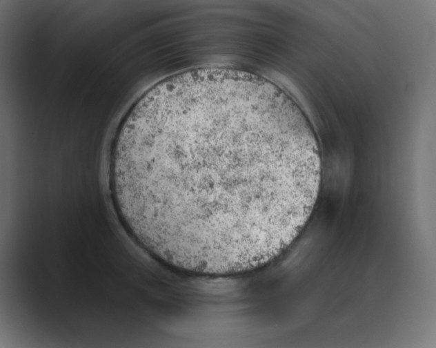 X0000088450851200706191310