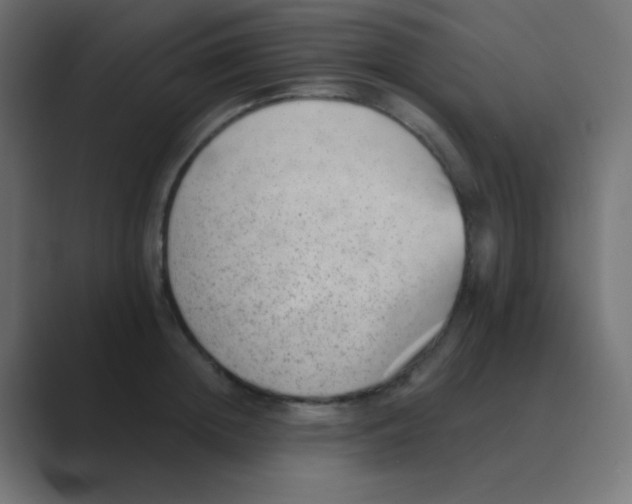 X0000088450852200706191310