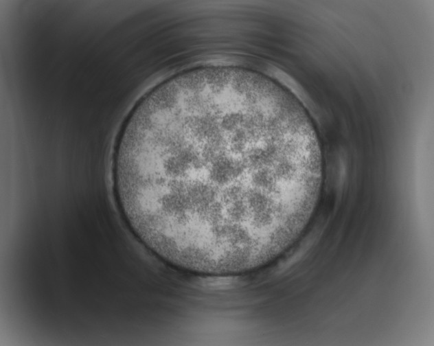 X0000088450853200706191310
