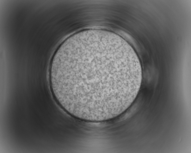 X0000088450855200706191310
