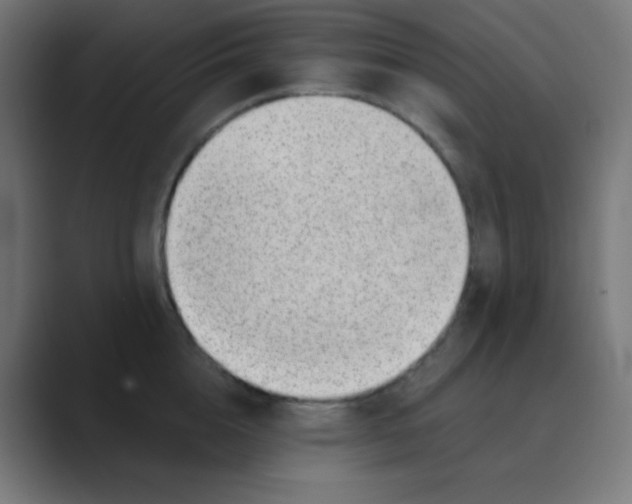 X0000088450856200706191310