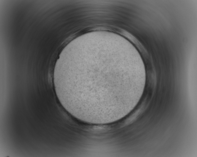 X0000088450857200706191310