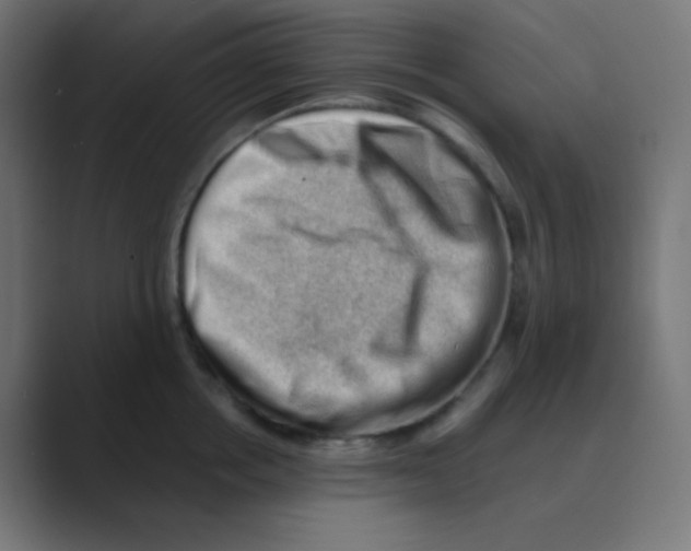 X0000088450858200706191310
