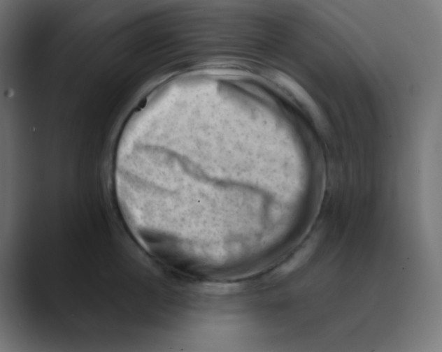 X0000088450860200706191310