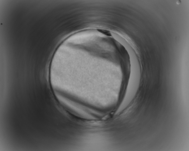 X0000088450862200706191310