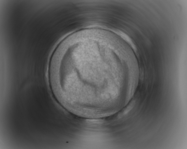 X0000088450863200706191310