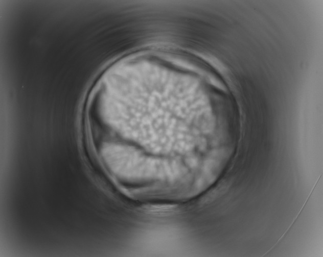 X0000088450864200706191310