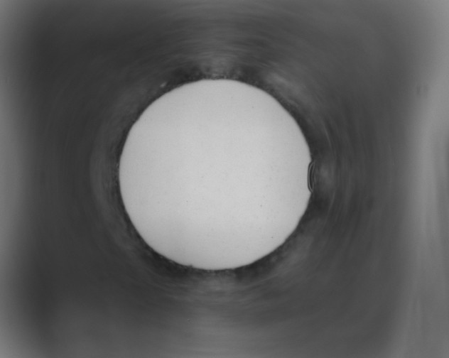 X0000088450865200706191309