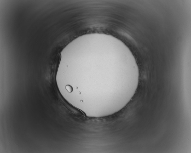 X0000088450869200706191309